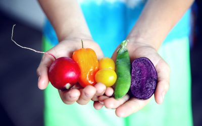 Should I bother with organic food?